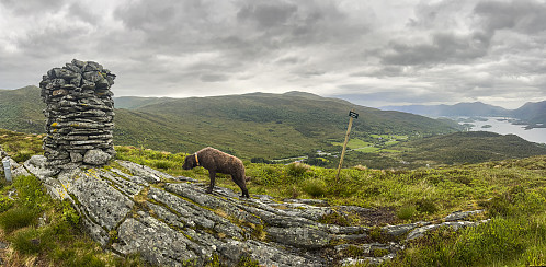 På Gyrinakken