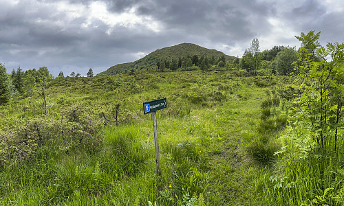 400 høydemeter og så er vi der...