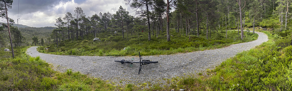I Lysløypa, Leikongeidet