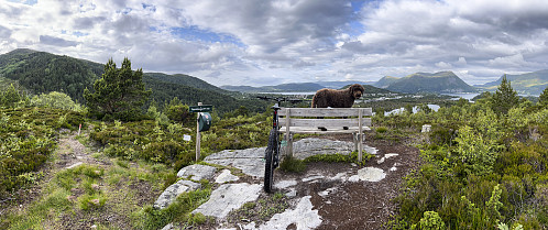 På Djupvikhaugen