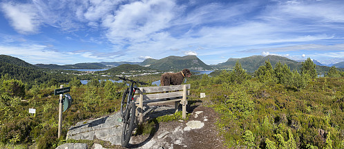 På Djupvikhaugen