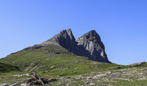Litt-Stjerna og Høgstjerna