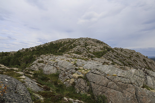 På vei mot toppen
