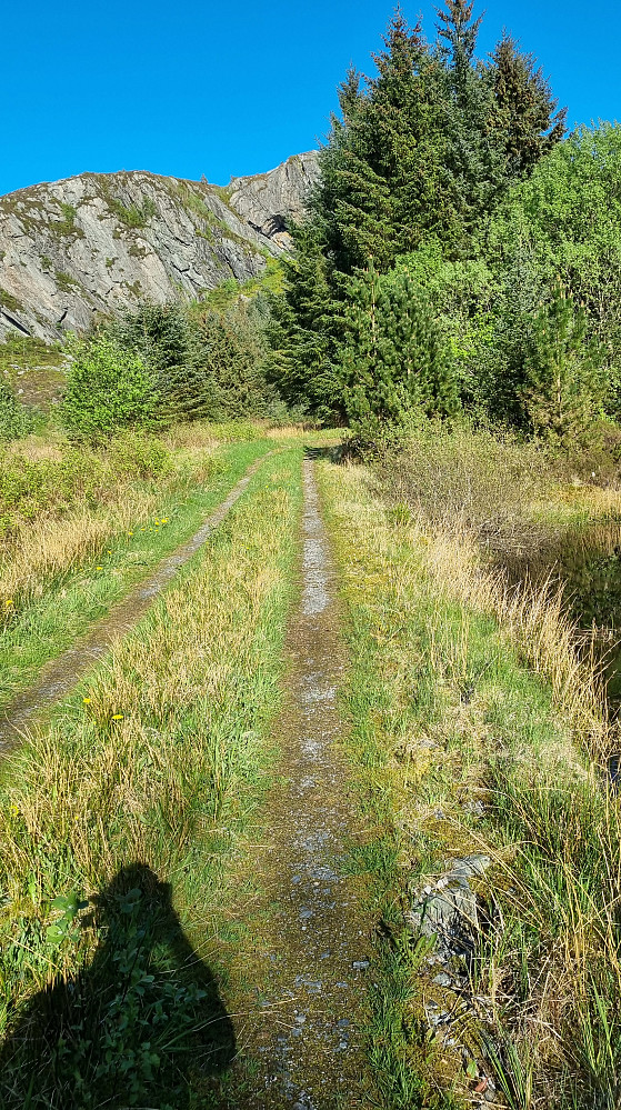 Fulgte traktorvei så langt inn den gikk.
