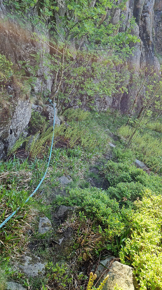 Jeg valgte å følge stien som fortsatte når traktorveien tok slutt. Ligger noen gamle tau oppover høyre siden langs steinrøysa (skåla).