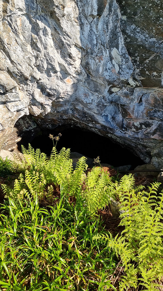 25-30 meter ned i grotte finner du et vann. Populært besøkt, så god sti opp hit.