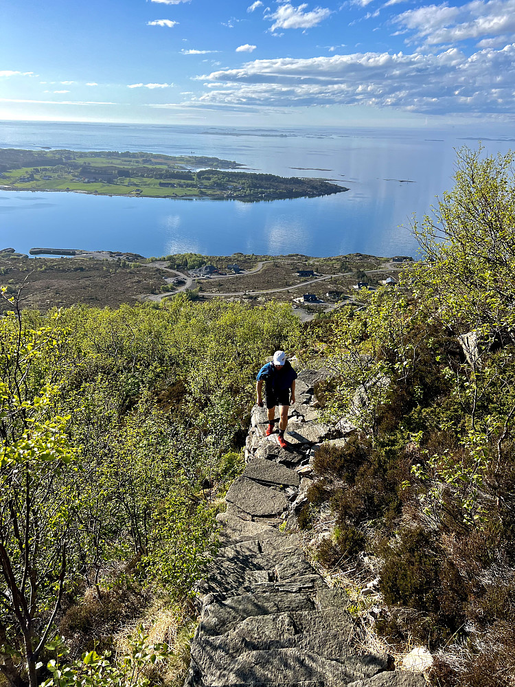 Opp sherpatrappene til Rørsethornet. 2200  trappetrinn og Norges lengste sammenhengende steintrapp