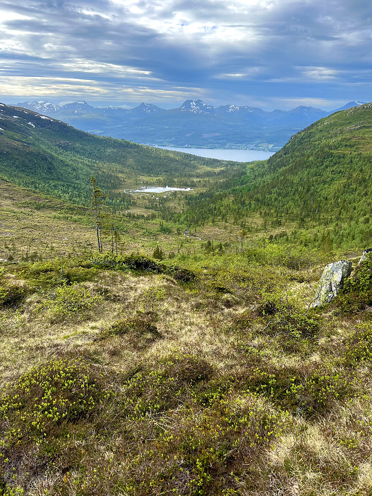 Utsikt over Bordalen