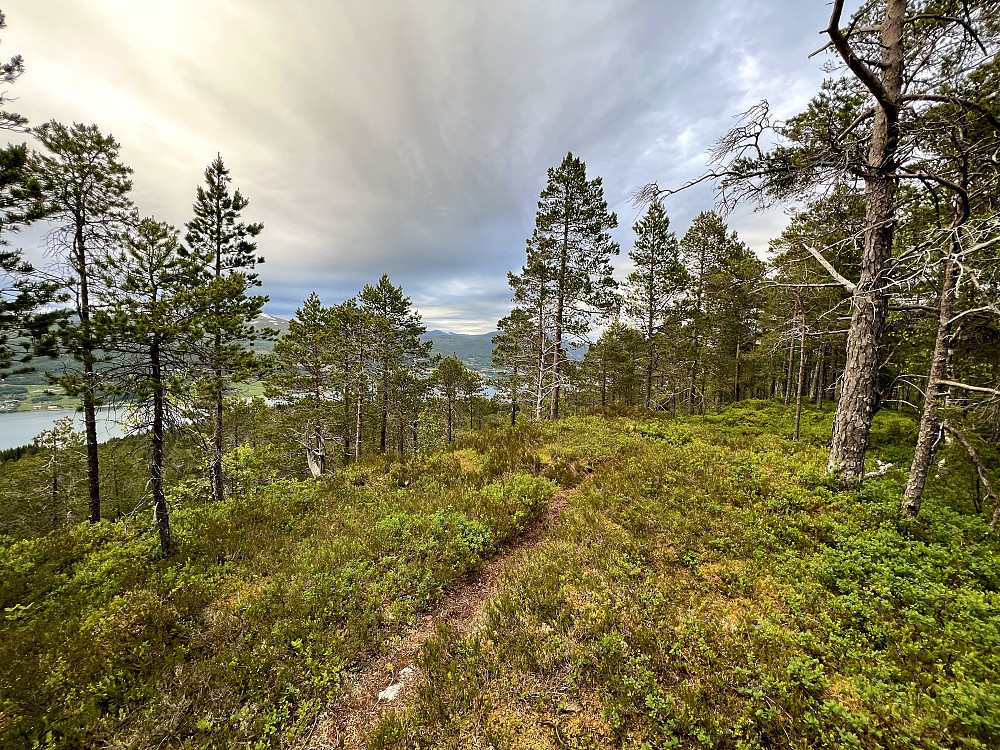 Flytsti fra toppen