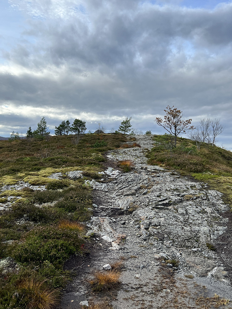 Mot toppen av Skoften