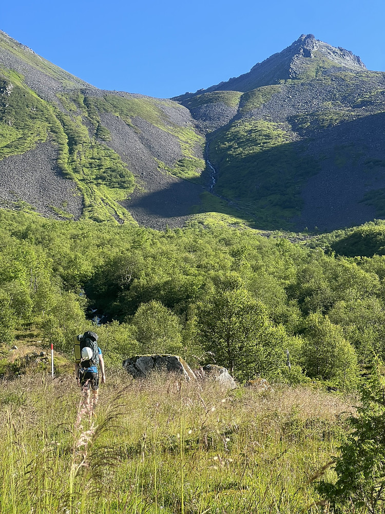 Frodig og rødmerket sti opp til Skarrabbvatnet