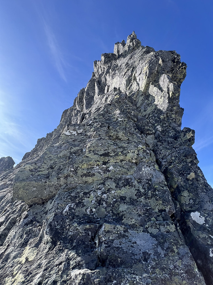 Toppveggen var ca 15 meter med bratt og fast fjell. Linja vi fulgte var logisk og følger de gode takene og risset som heller svakt venstre mot toppryggen