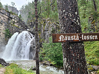 HegeSA_20210824_612495ec52605.jpg