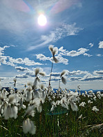 HegeSA_20210824_6124b6d10f454.jpg