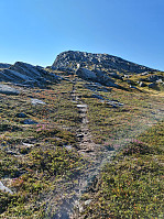HegeSA_20210827_61293bdc2a74f.jpg