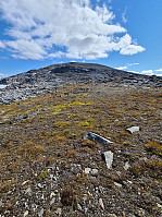 HegeSA_20210827_61293c1443f82.jpg