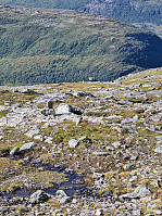 HegeSA_20210827_61293c1b62899.jpg