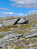 HegeSA_20210827_61293c225f5f6.jpg