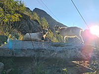 HegeSA_20210828_612a7a20e0efa.jpg