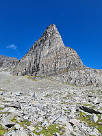 HegeSA_20210828_612a7a338b453.jpg