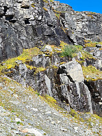 HegeSA_20210828_612a7a45c4e8f.jpg