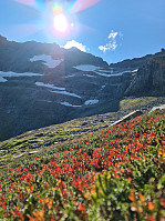 HegeSA_20210828_612a7a86ddefe.jpg