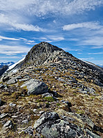 HegeSA_20220731_62e62e66824c5.jpg