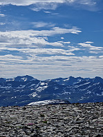 HegeSA_20220731_62e62ea9181a5.jpg