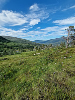 HegeSA_20220731_62e62ed03941d.jpg