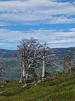 HegeSA_20220731_62e62ed300ec8.jpg