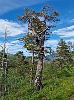 HegeSA_20220731_62e62ed72077e.jpg