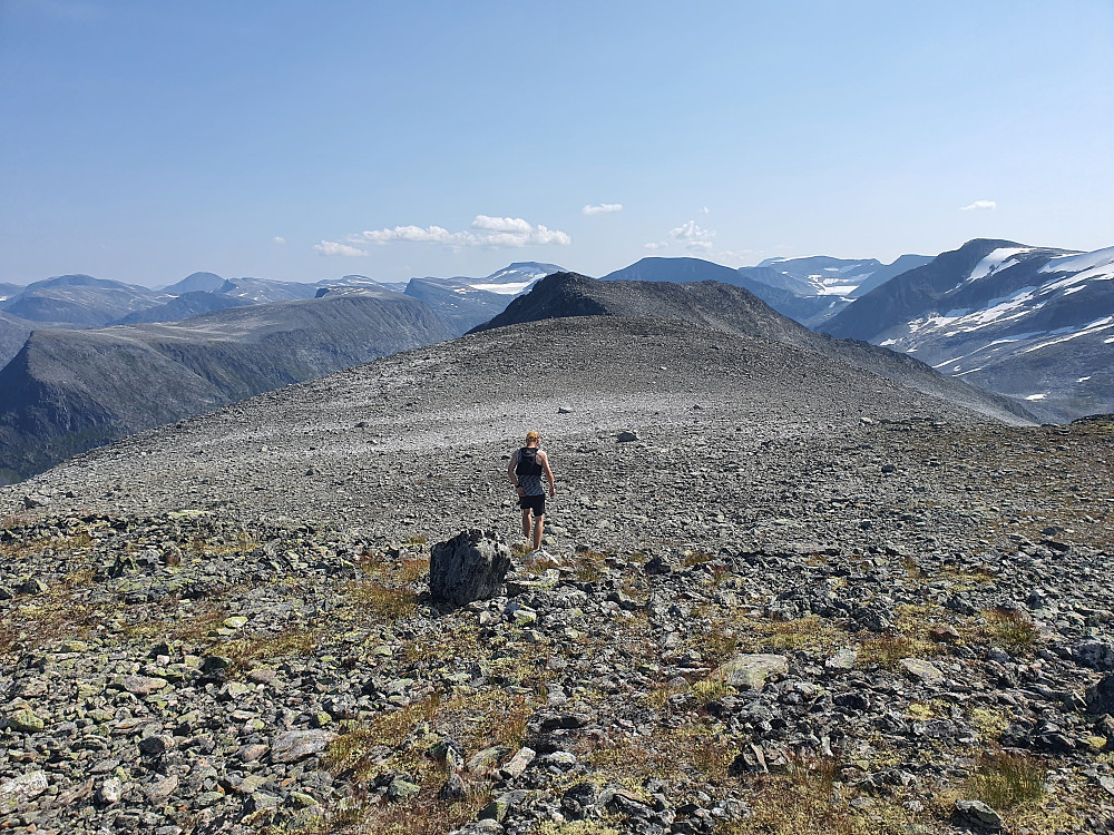 Rygg mot 1482m