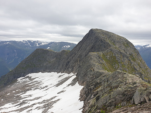 Hesteskredeggi