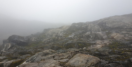 Våte sva ved omlag 1100 moh