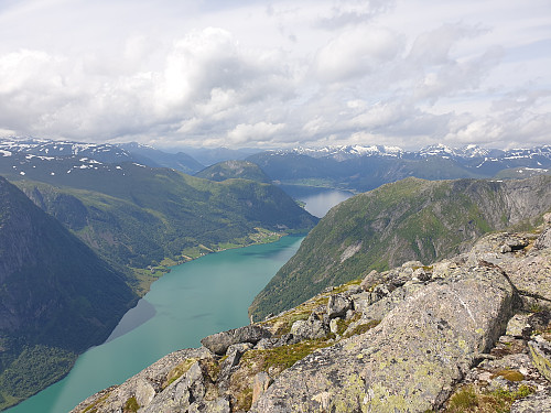 Høgenipa
