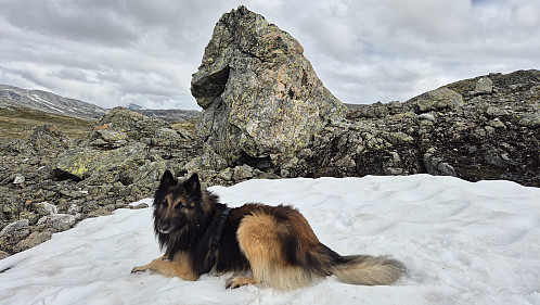 Snø er alltid ein høydare!