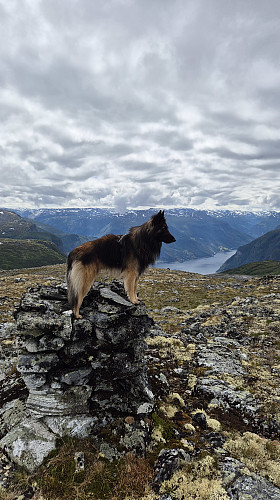 Nisedalsfjellet