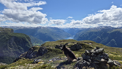 Toppen av Skulenosi