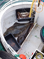 Firing_20210930_615604d6b4a3f.jpg