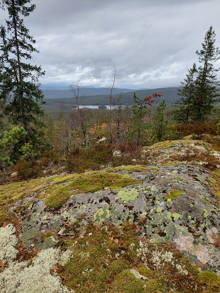 Furtebuhaugen