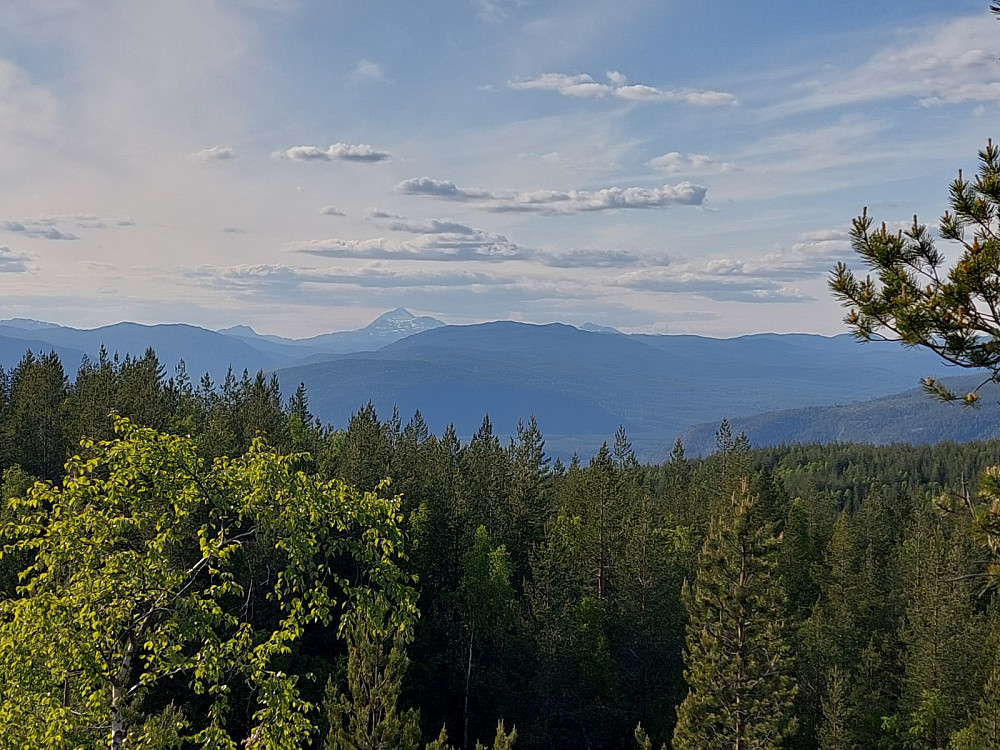 Gaustatoppen