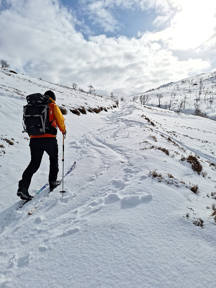 Spora våre fra i går