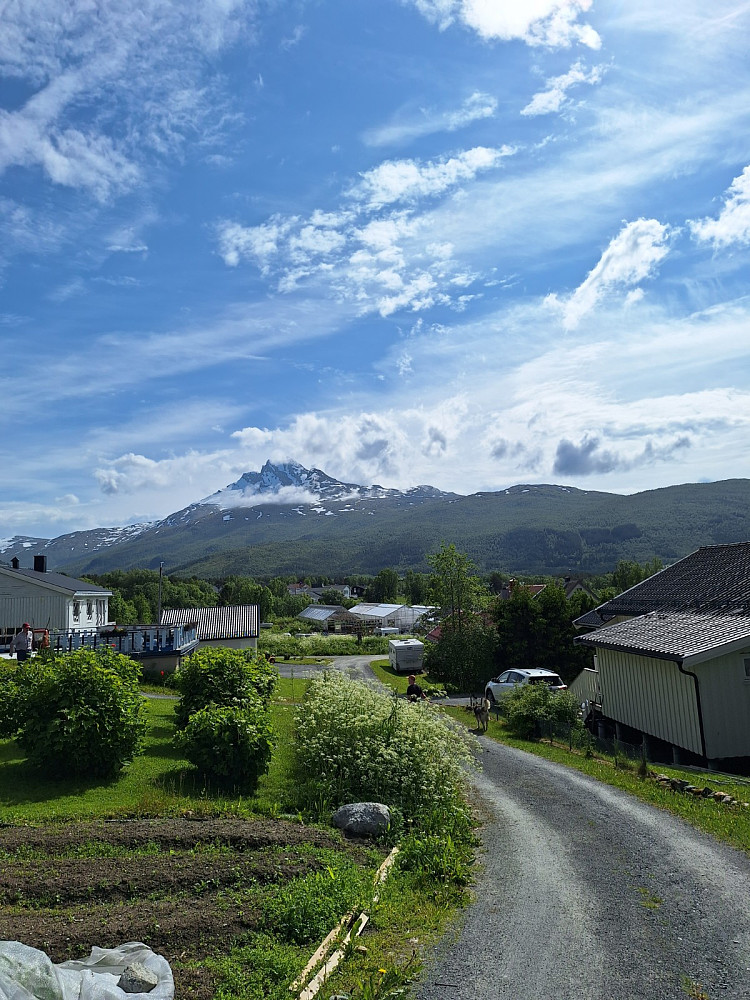 Dronninga får bli til en annen gang