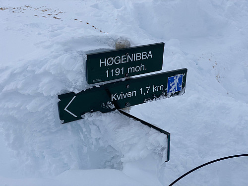 Image #7: A sign stating we're on top of Mount Høgenibba [1191 m.a.m.s.l.], and the one beneath it pointing the direction to Mount Kviven [1025 m.a.m.s.l.].