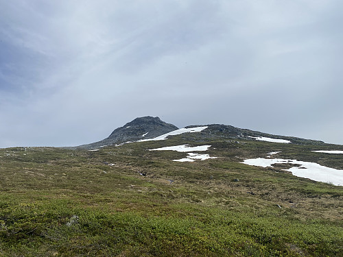 Image #3: Once you're above the forrrest, Mount Svarttinden [1094 m.a.m.s.l.] comes into view.