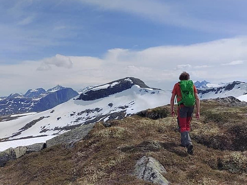Image #9: Heading towards Mount Jamtetinden [1101 m.a.m.s.l.].