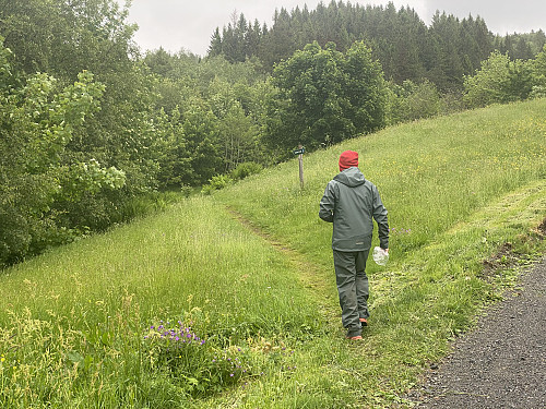 Bilde #1: Stien mot Verahornet tar av til venstre fra veien like etter parkeringsplassen.
