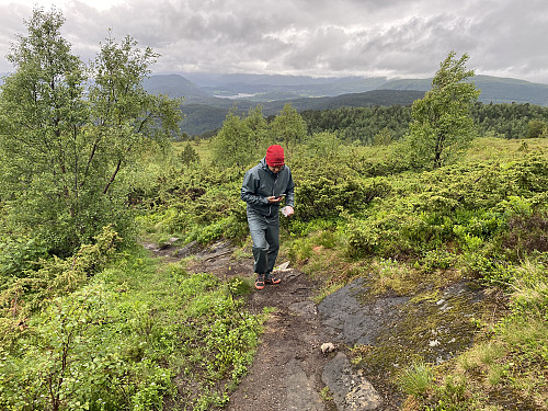 Bilde #3: Vi er ute av skogen, og nærmer oss toppen.