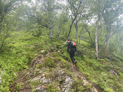 Bilde #4: Der grusveien ender, fortsetter fotruta opp på Vikahornet som en god sti.