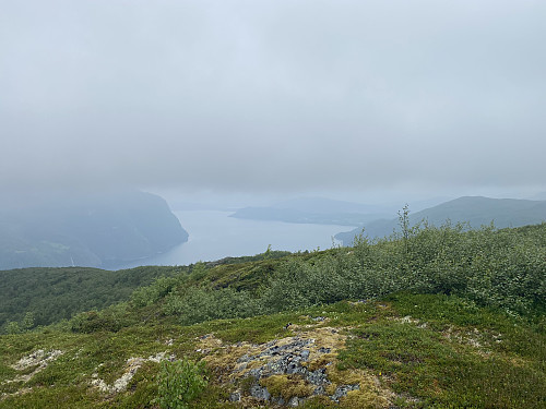 Bilde #5: Litt lavt skydekke, men like fullt noe utsikt fra toppen av Vikahornet.